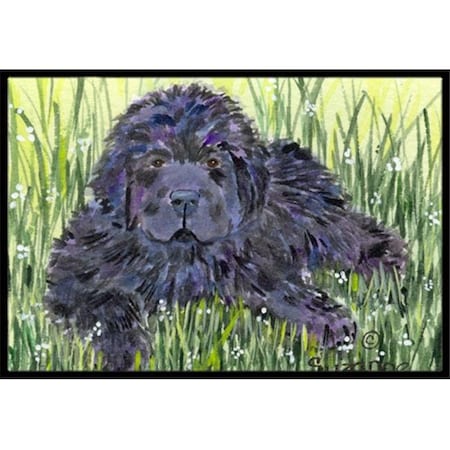 Carolines Treasures Carolines Treasures SS8872MAT Newfoundland Indoor Outdoor Mat - 18 x 27 in. SS8872MAT